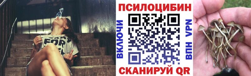 Галлюциногенные грибы Magic Shrooms  хочу   Тюмень 